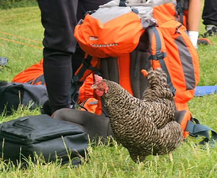 Camp 3